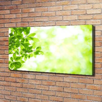 Canvas wall art Leaves