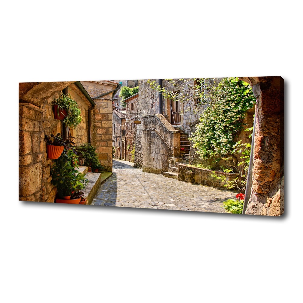 Canvas wall art Charming street