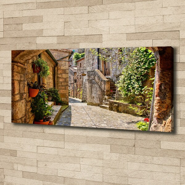 Canvas wall art Charming street