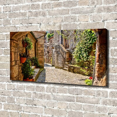 Canvas wall art Charming street