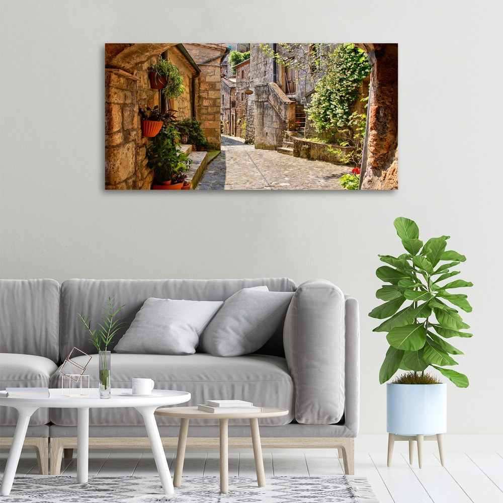 Canvas wall art Charming street