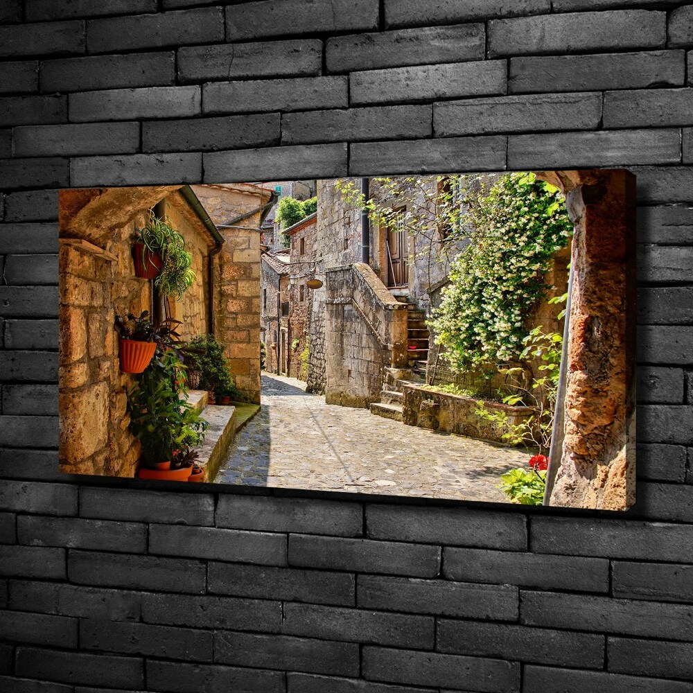 Canvas wall art Charming street