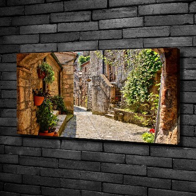 Canvas wall art Charming street