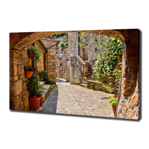 Canvas wall art Charming street