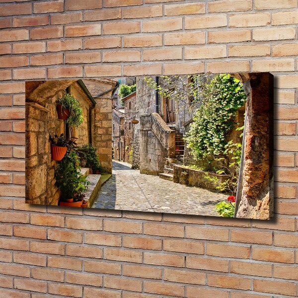 Canvas wall art Charming street