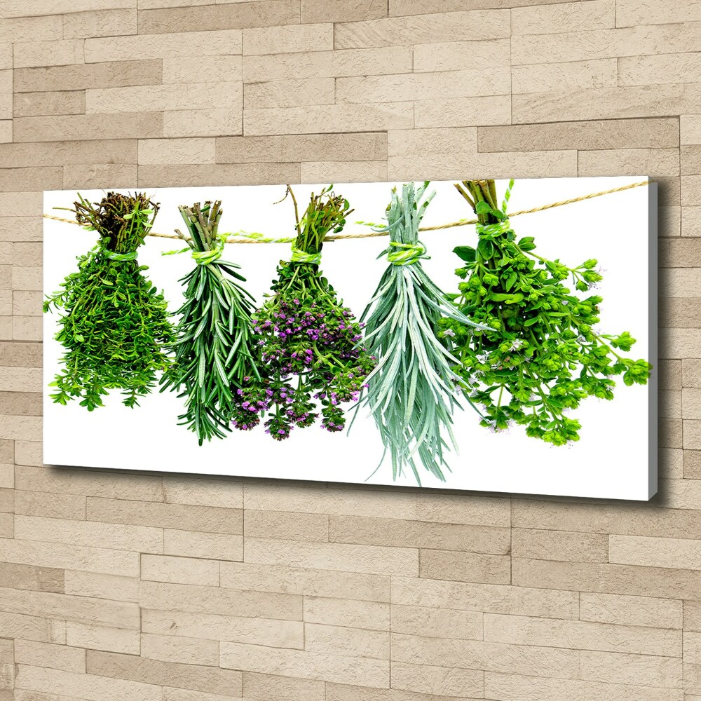 Canvas wall art Herbs on a string