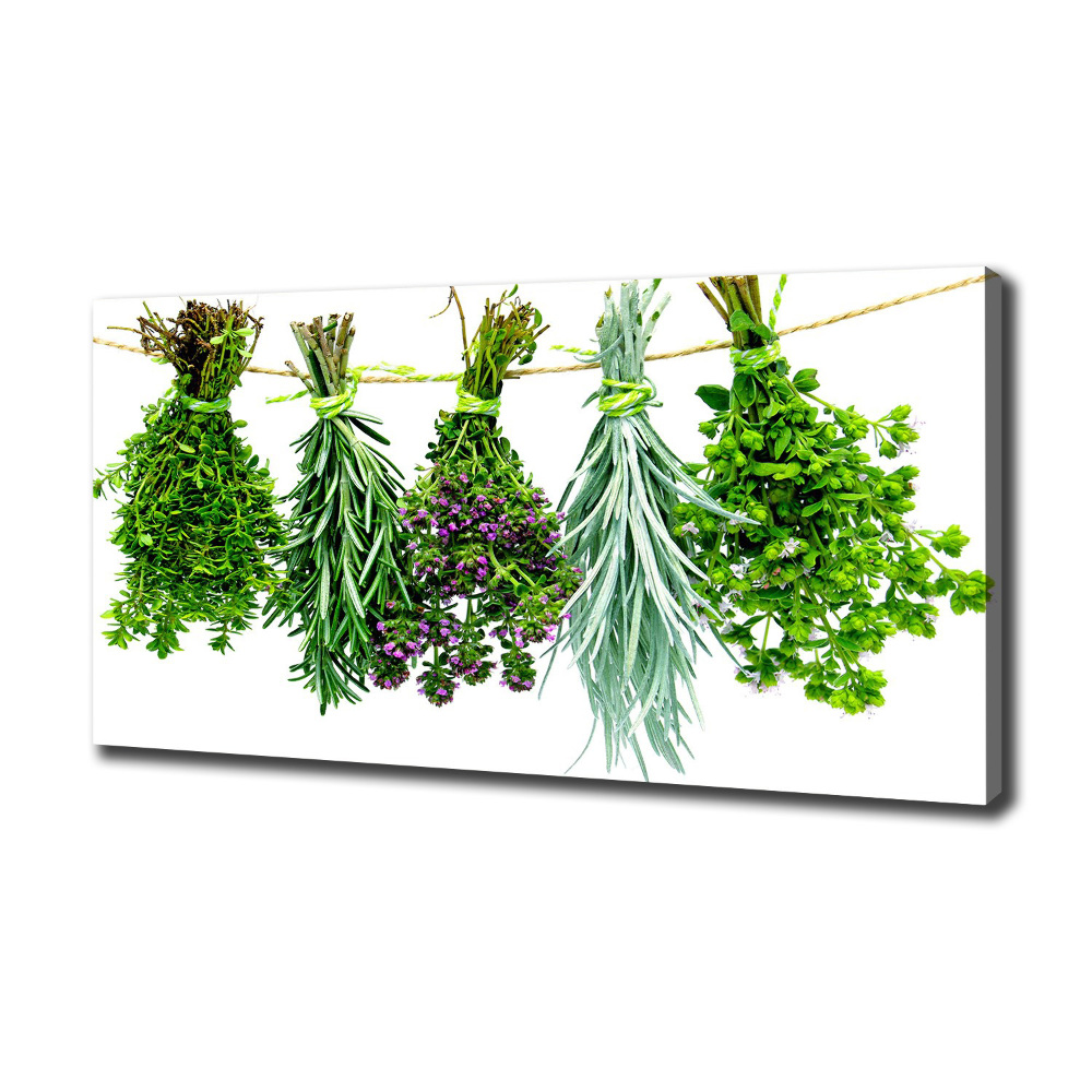 Canvas wall art Herbs on a string