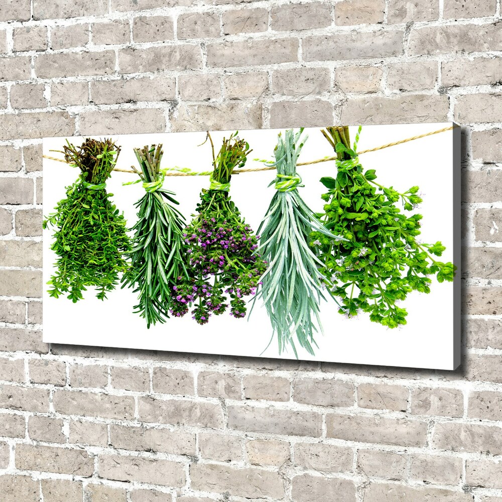 Canvas wall art Herbs on a string