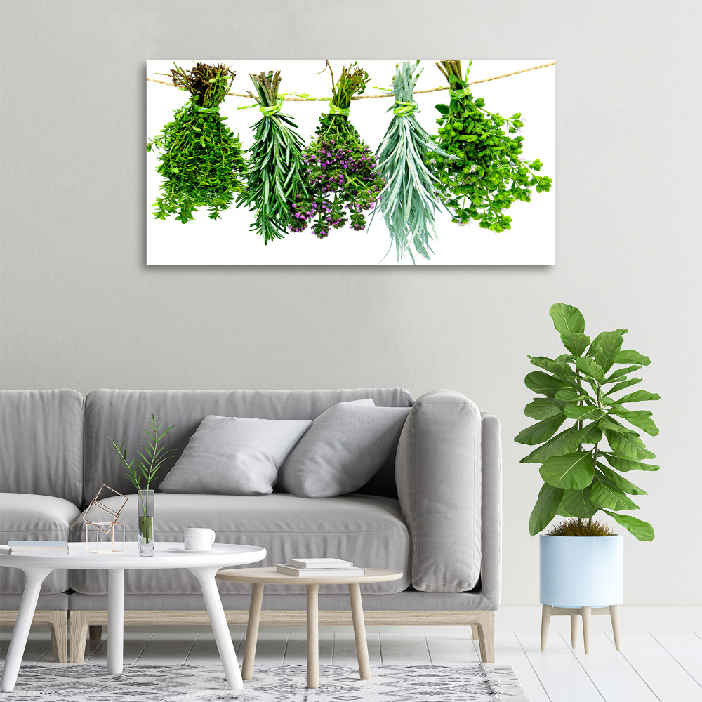 Canvas wall art Herbs on a string