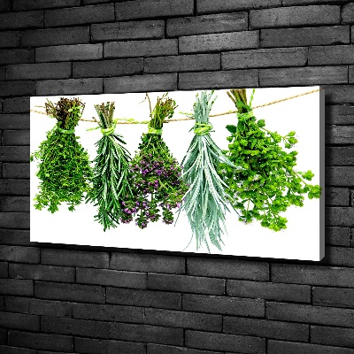 Canvas wall art Herbs on a string