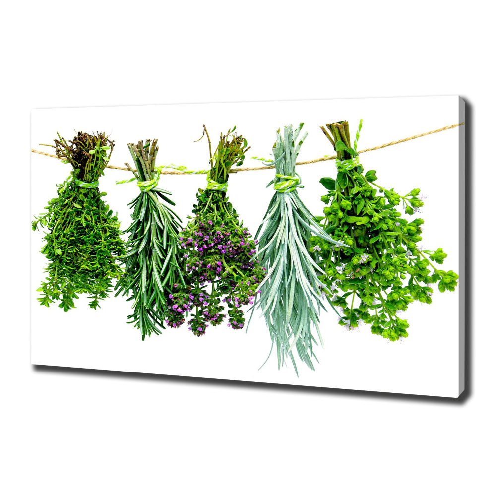 Canvas wall art Herbs on a string