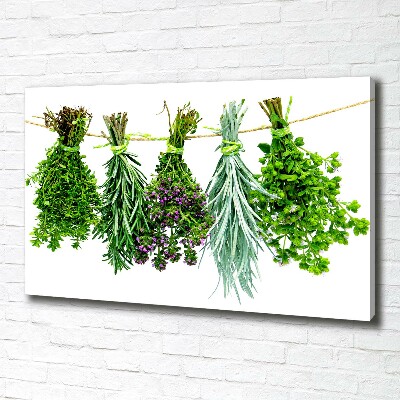 Canvas wall art Herbs on a string