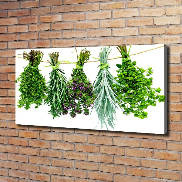 Canvas wall art Herbs on a string