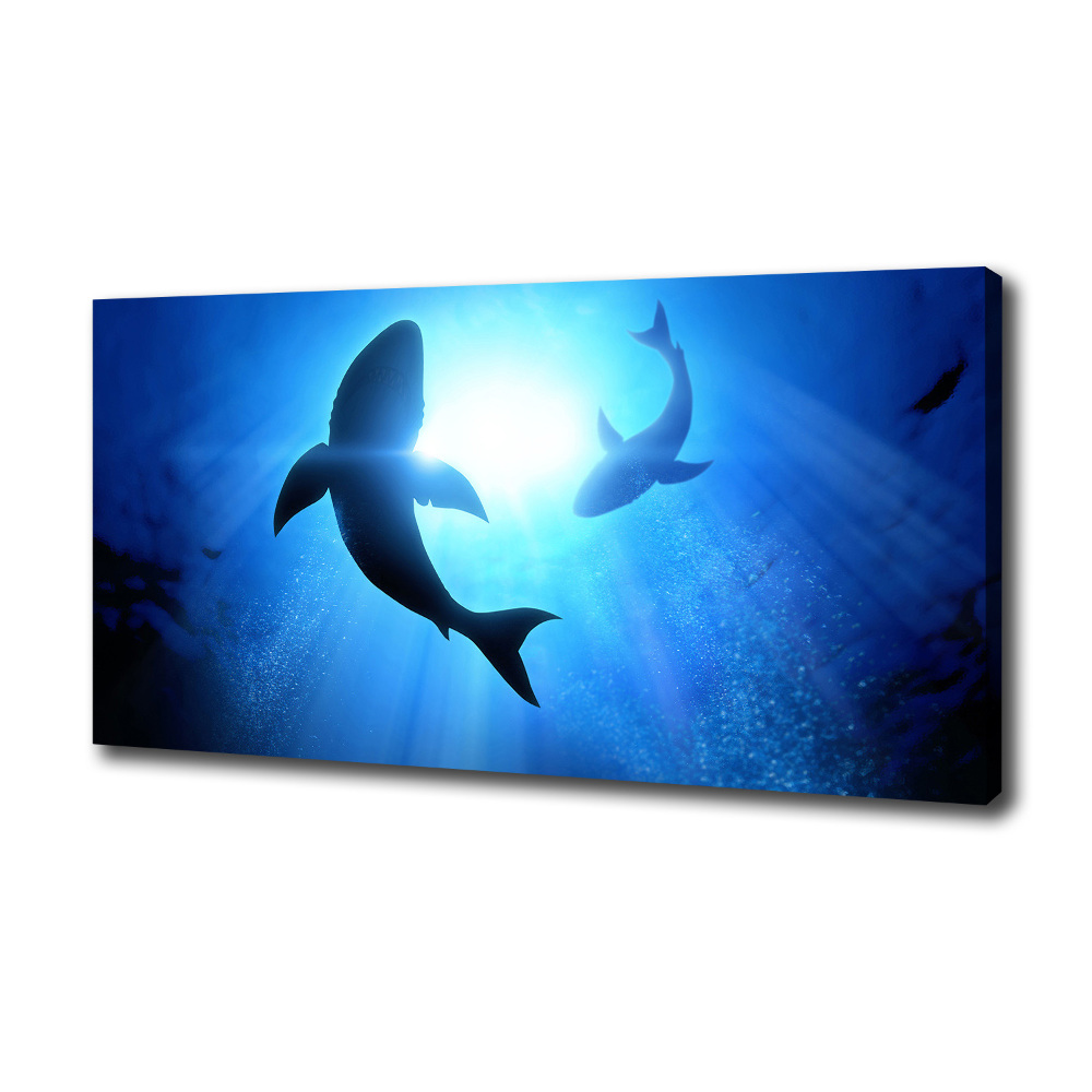 Canvas wall art Two sharks