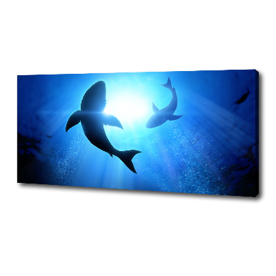 Canvas wall art Two sharks