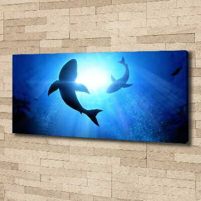 Canvas wall art Two sharks