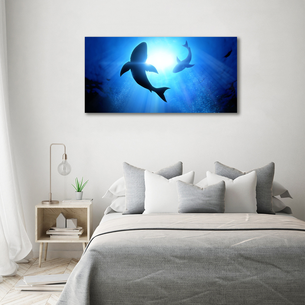 Canvas wall art Two sharks