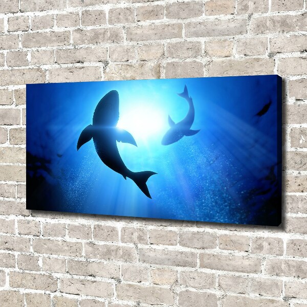 Canvas wall art Two sharks