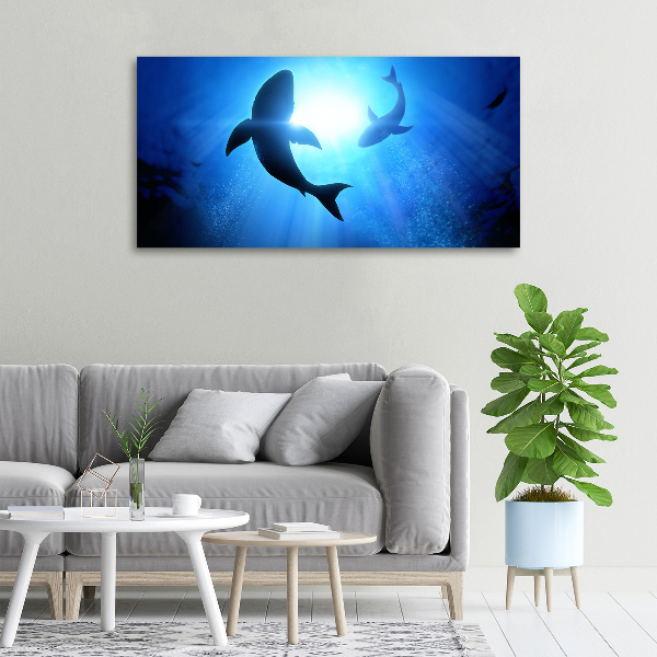 Canvas wall art Two sharks