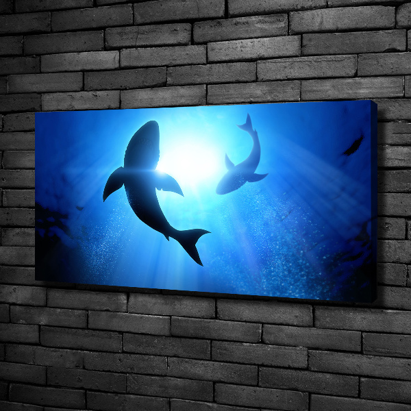 Canvas wall art Two sharks