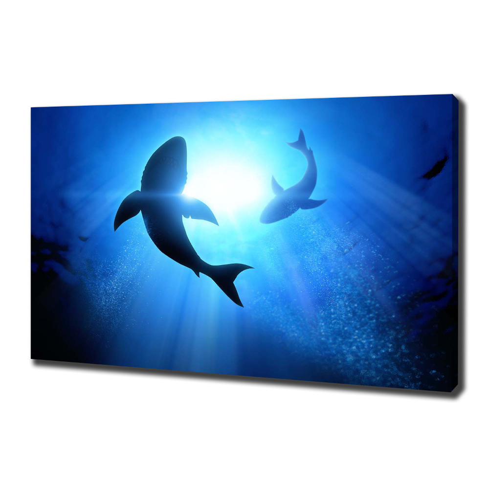 Canvas wall art Two sharks