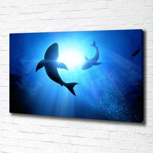 Canvas wall art Two sharks