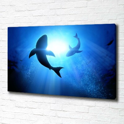 Canvas wall art Two sharks