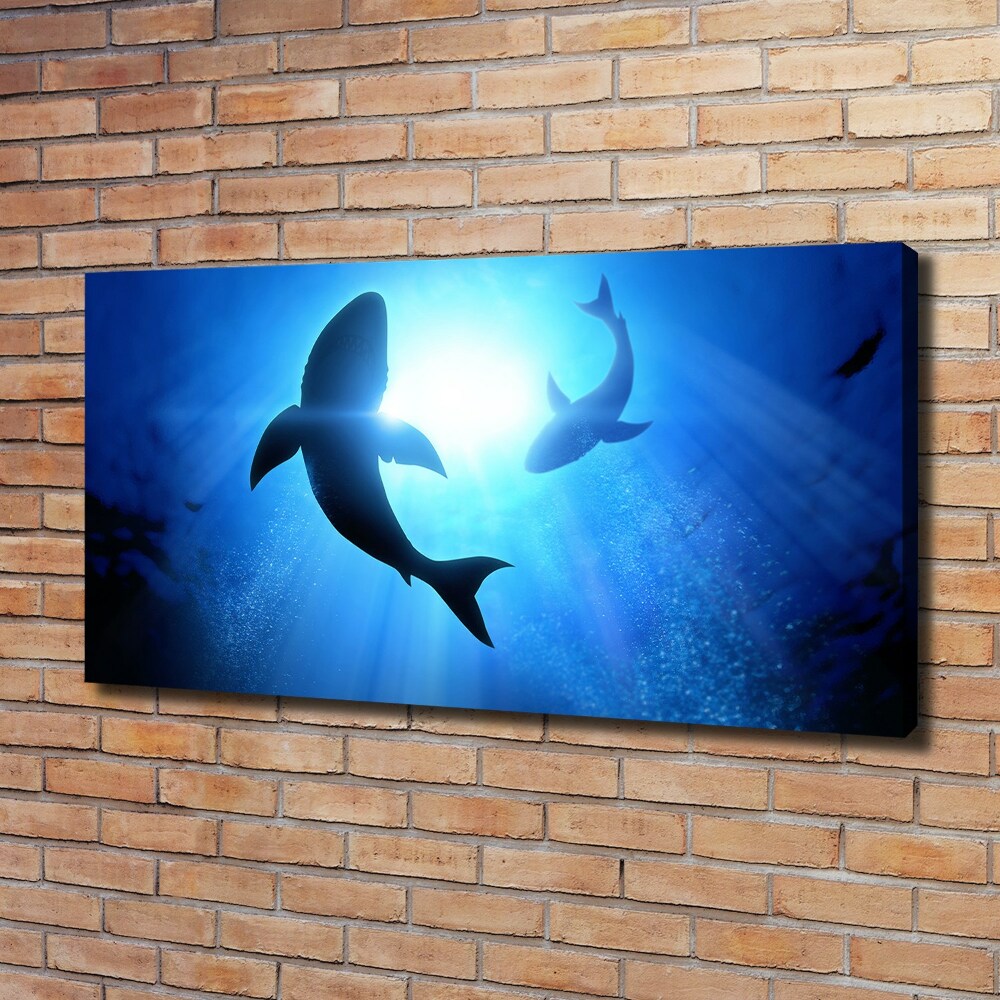 Canvas wall art Two sharks