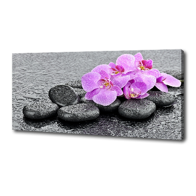 Canvas wall art Stones orchids