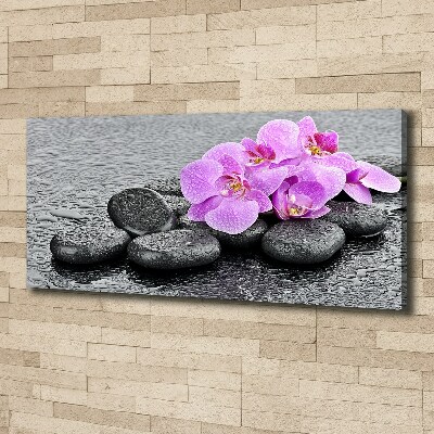 Canvas wall art Stones orchids