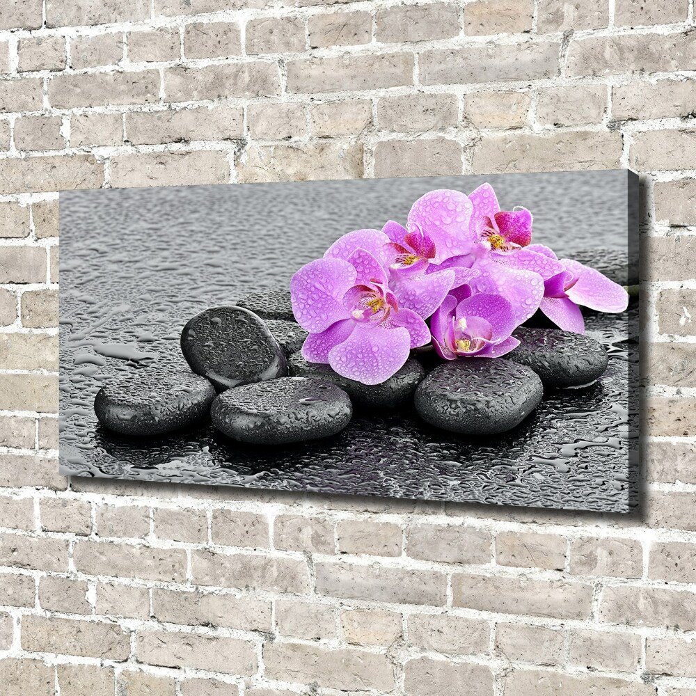 Canvas wall art Stones orchids