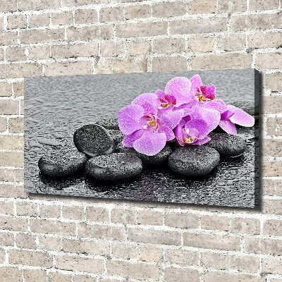 Canvas wall art Stones orchids