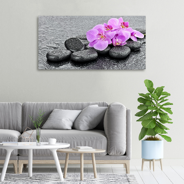 Canvas wall art Stones orchids