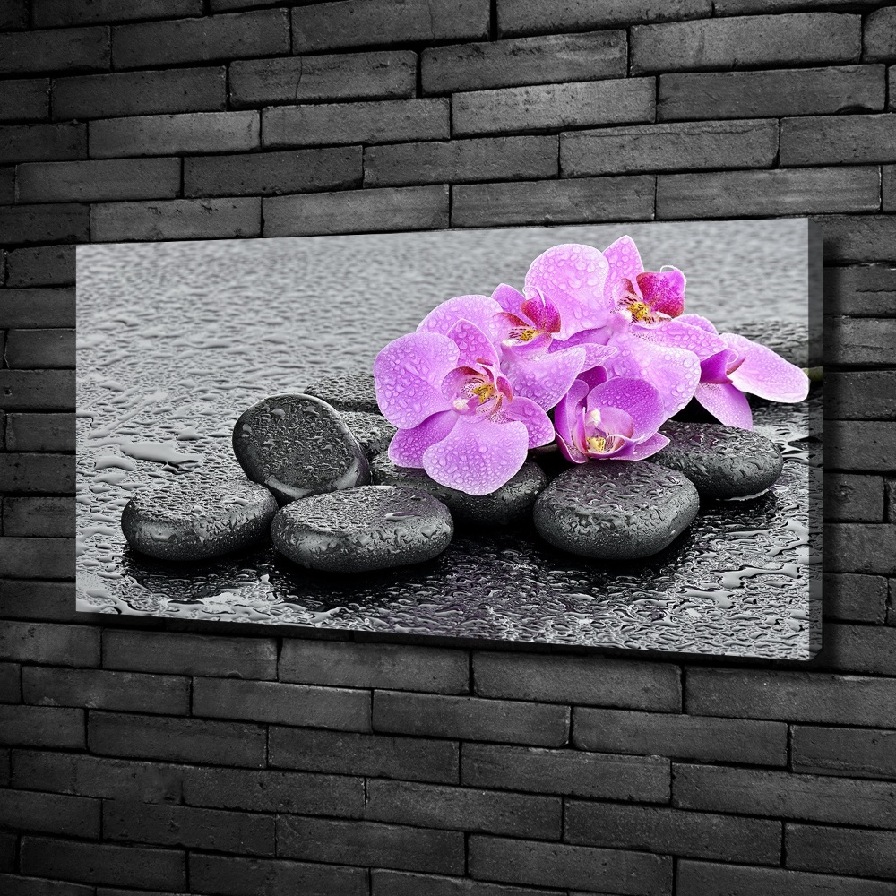 Canvas wall art Stones orchids