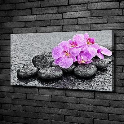 Canvas wall art Stones orchids