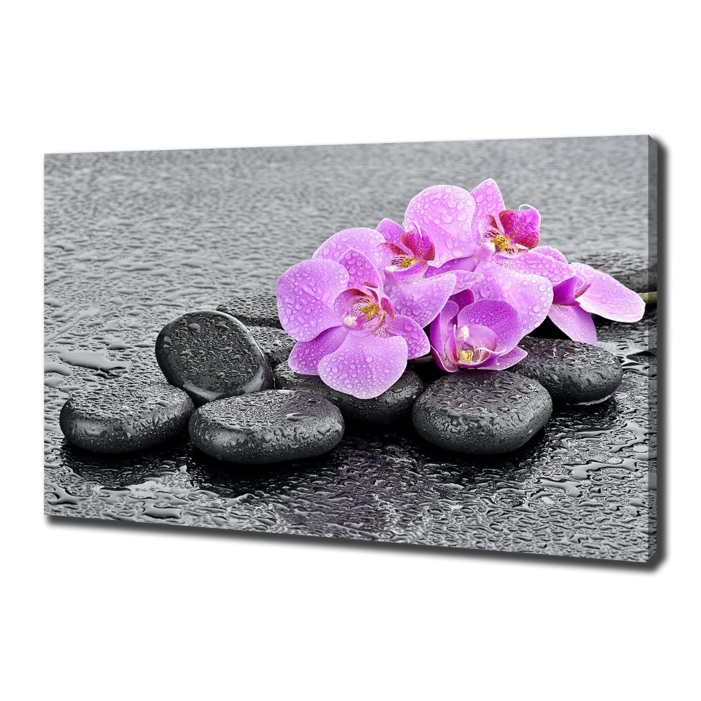 Canvas wall art Stones orchids