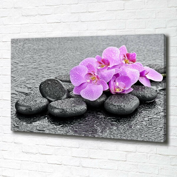 Canvas wall art Stones orchids