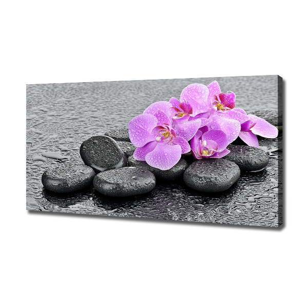 Canvas wall art Stones orchids