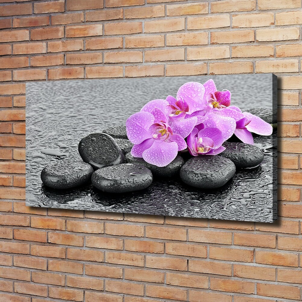 Canvas wall art Stones orchids