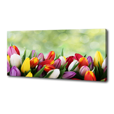 Canvas wall art Colorful tulips