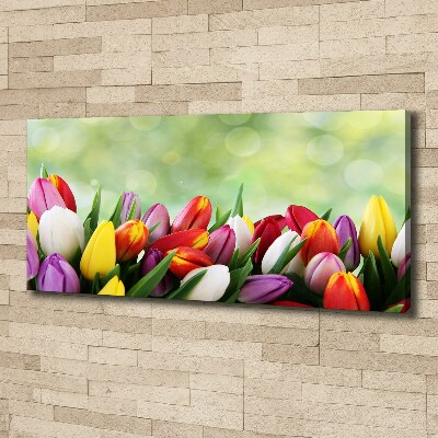 Canvas wall art Colorful tulips