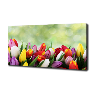 Canvas wall art Colorful tulips