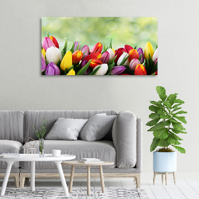 Canvas wall art Colorful tulips