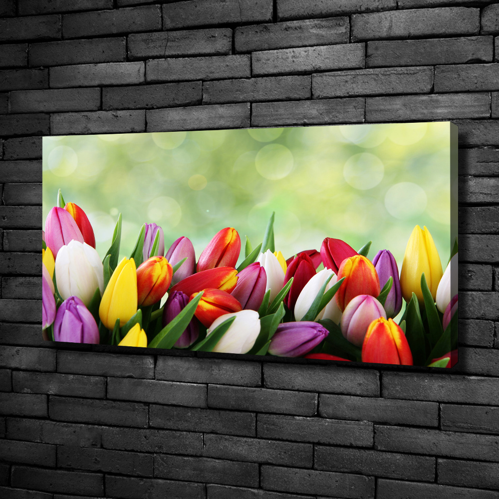 Canvas wall art Colorful tulips