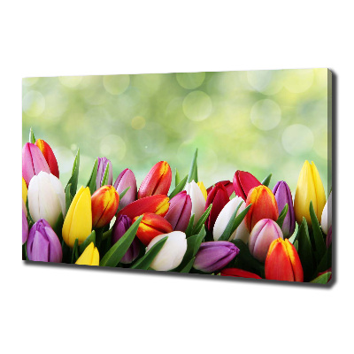 Canvas wall art Colorful tulips