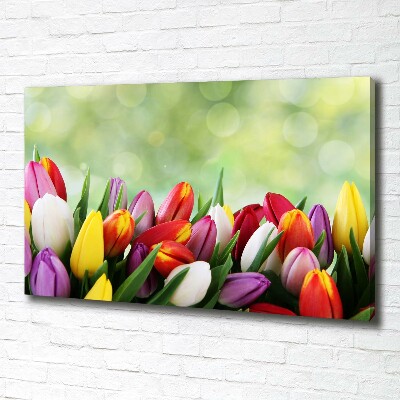 Canvas wall art Colorful tulips