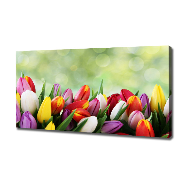 Canvas wall art Colorful tulips