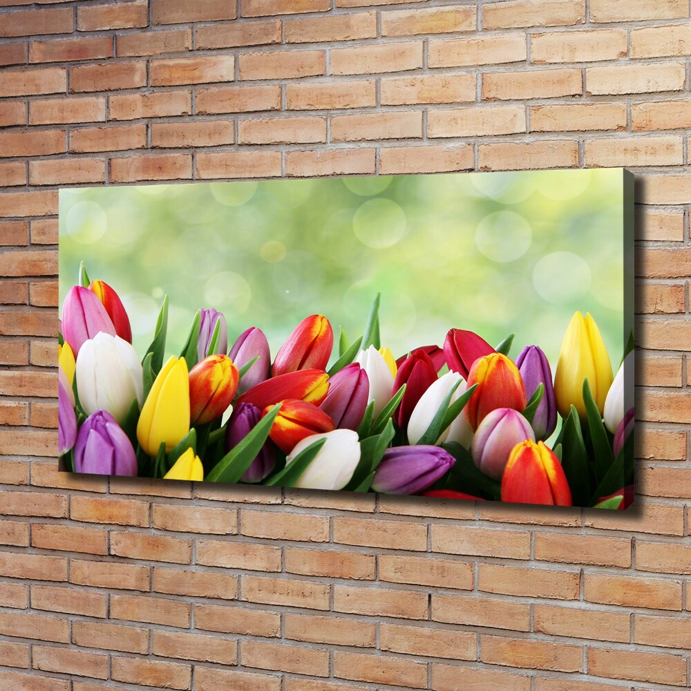 Canvas wall art Colorful tulips