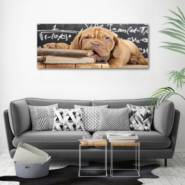 Canvas wall art The dog bites a book