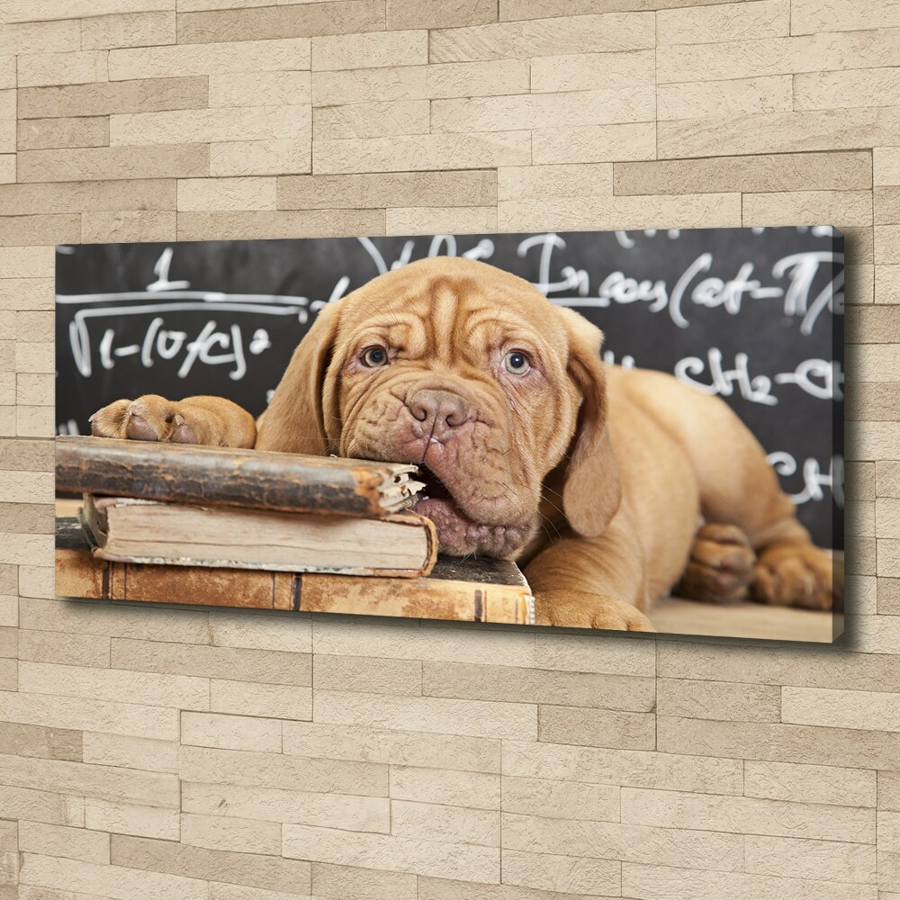 Canvas wall art The dog bites a book